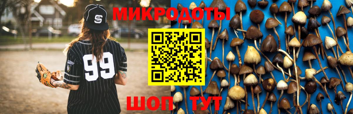 Галлюциногенные грибы Cubensis  магазин продажи   Вход с VPN  Прохладный  Галлюциногенные грибы GOLDEN TEACHER 